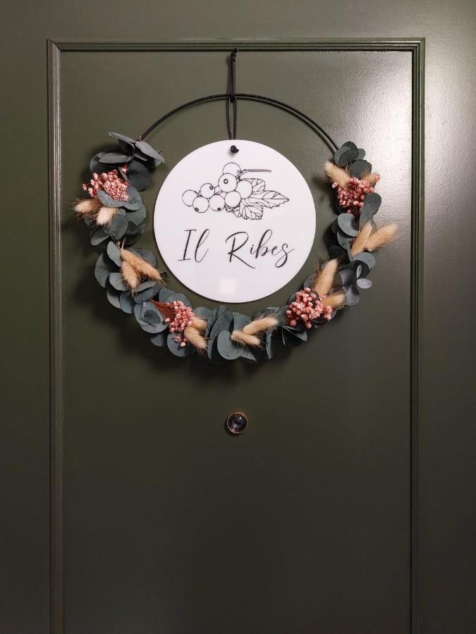 Residence Dei Frutti Pieno Centro - Il Ribes Padova Exteriér fotografie